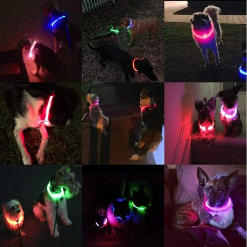 Anicoll LED Leuchthalsband Hunde Halsband - blau USB Wiederaufladbar - Längen...