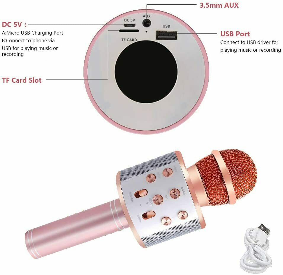 Bluetooth Karaoke Mikrofon, AlfaView Tragbare Drahtlose Mikrofon Stereo Player
