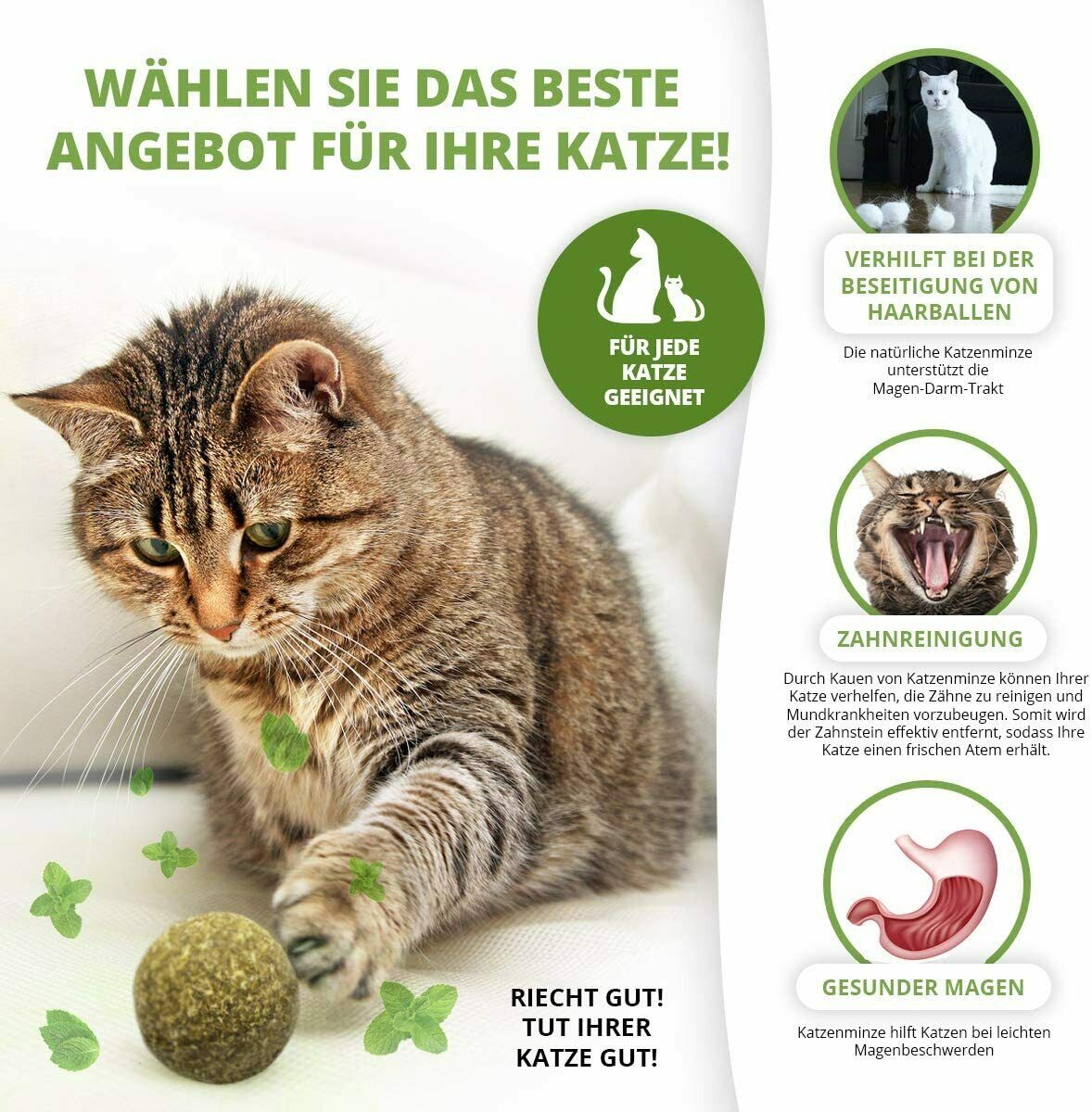 3x Katzenminze Ball, Katzenspielzeug, Fördert den natürlichen Spieltrieb