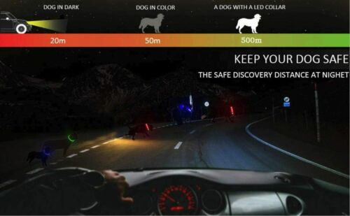 Anicoll LED Leuchthalsband Hunde Halsband - blau USB Wiederaufladbar - Längen...