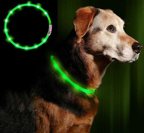 Anicoll LED Leuchthalsband Hunde Halsband - blau USB Wiederaufladbar - Längen...