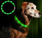 Anicoll LED Leuchthalsband Hunde Halsband - blau USB Wiederaufladbar - Längen...