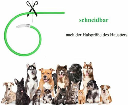 Anicoll LED Leuchthalsband Hunde Halsband - blau USB Wiederaufladbar - Längen...