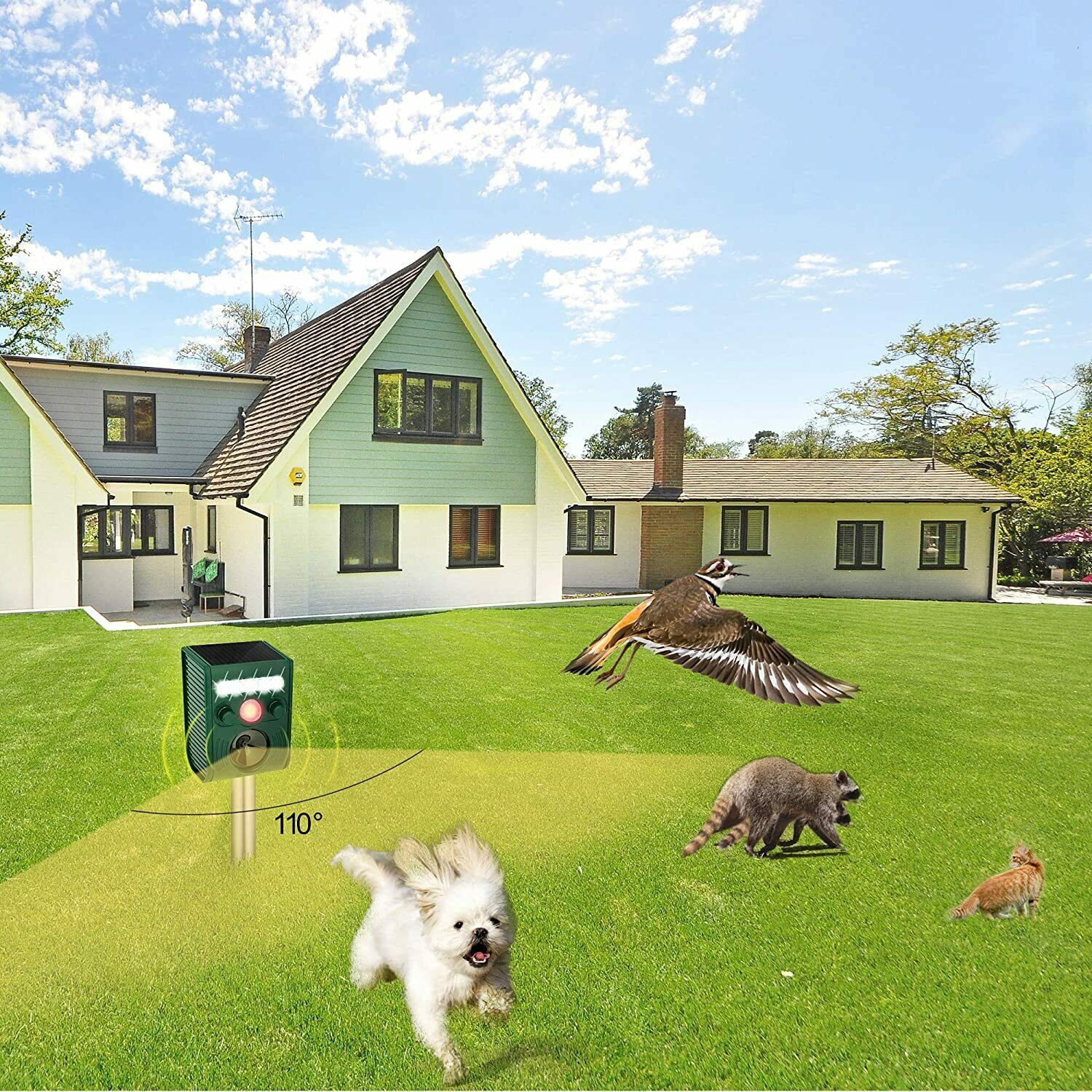 Solar Power Animal Repeller-ultrasonic sound mit Bewegungsmelder,Blitz,Aufstellp
