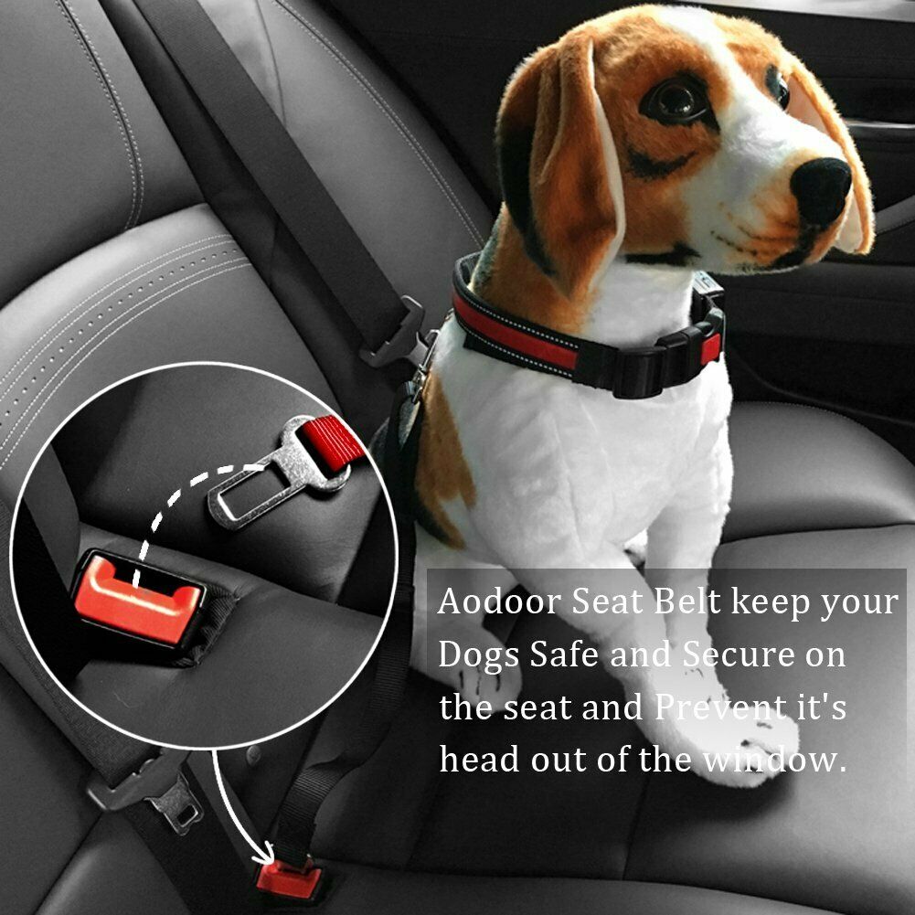 Hund Sicherheitsgurt, 2 Stück Hundesicherheitsgurt fürs Auto ( ROT )