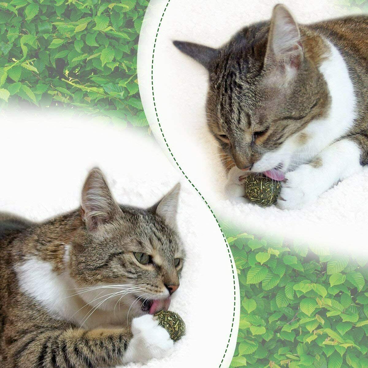 3x Katzenminze Ball, Katzenspielzeug, Fördert den natürlichen Spieltrieb