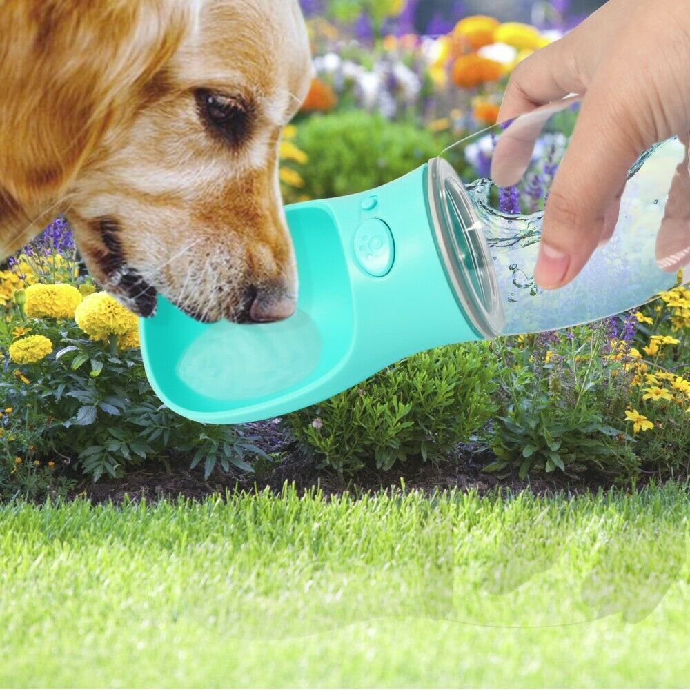PB+ Tragbare Haustier Wasserflasche Hund Katze Trinkflasche Pet Care Cup